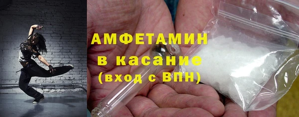 гашик Гусь-Хрустальный