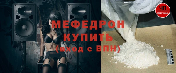 гашик Гусь-Хрустальный