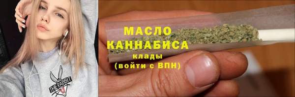 гашик Гусь-Хрустальный