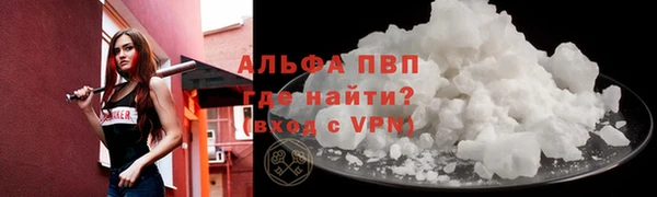 спайс Гусев
