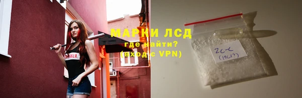 спайс Гусев