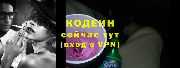 гашик Снежногорск