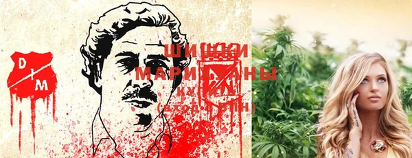 спайс Гусев