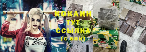 бошки Гусиноозёрск