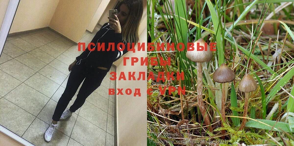 бошки Гусиноозёрск