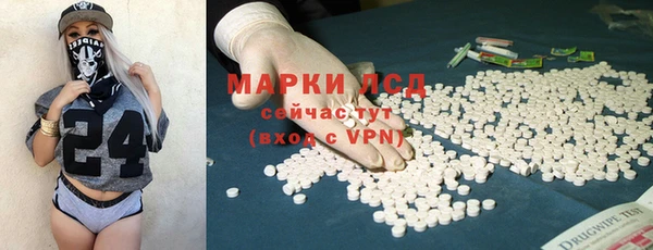 гашик Гусь-Хрустальный
