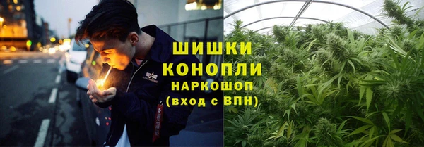 гашик Гусь-Хрустальный