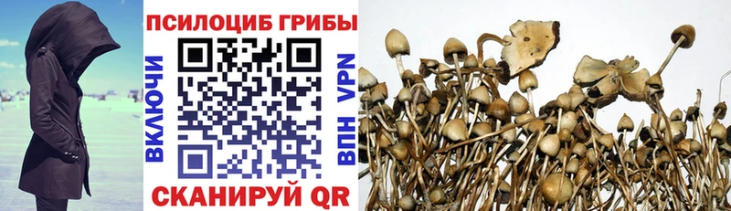 Галлюциногенные грибы MAGIC MUSHROOMS  Купить закладки  Киреевск 